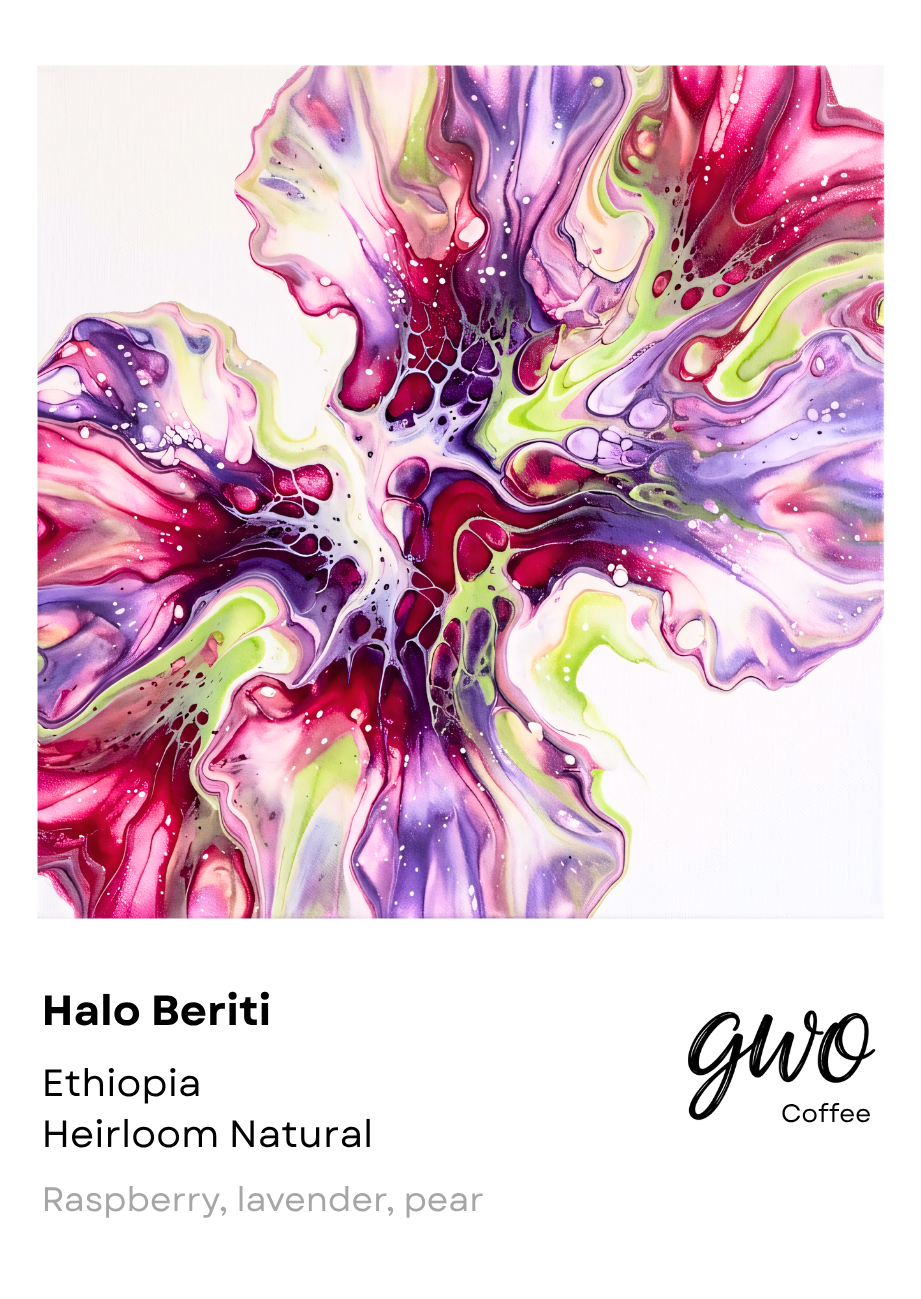 GWO - Etiopía Halo Beriti