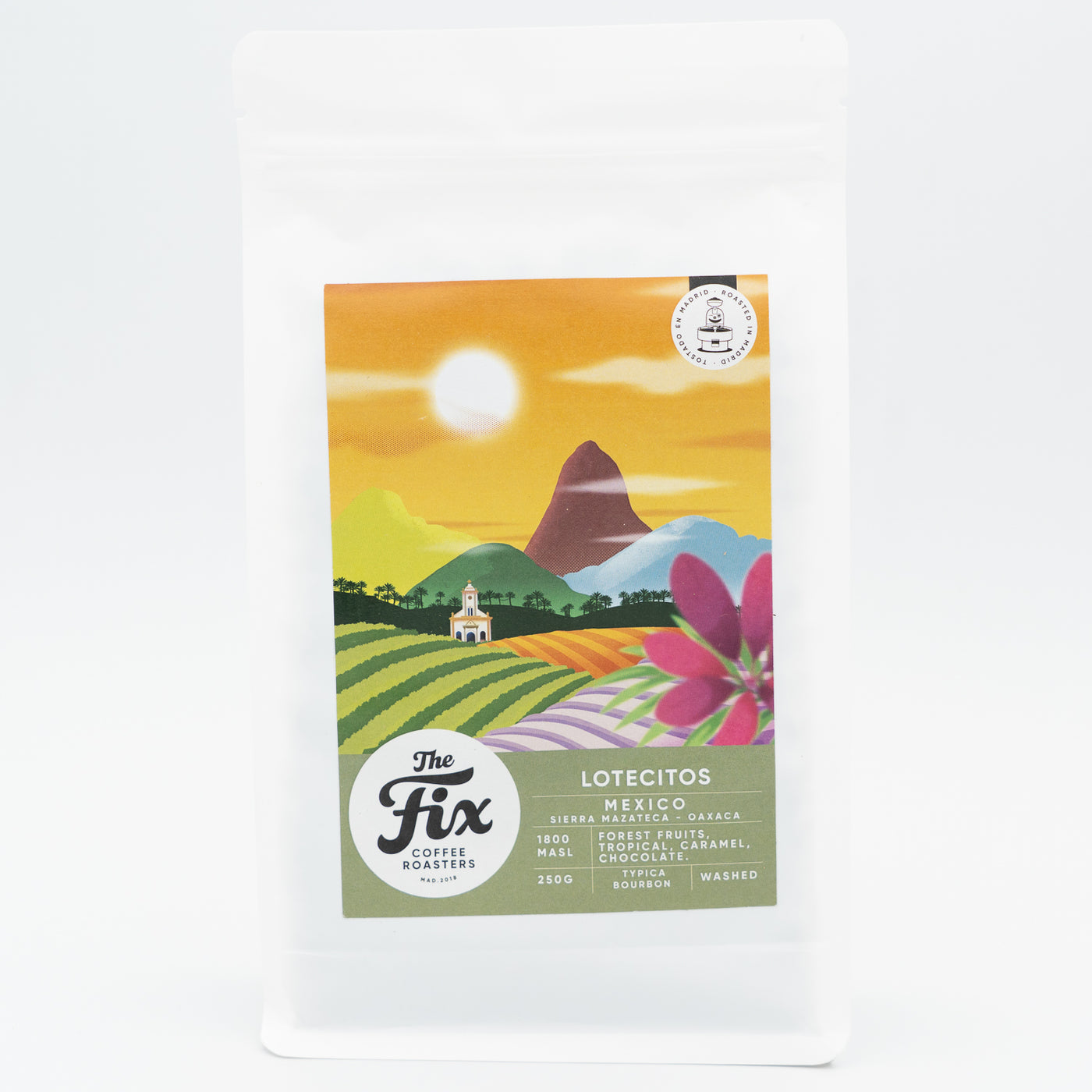 The Fix - México Lotecitos Typica Lavado