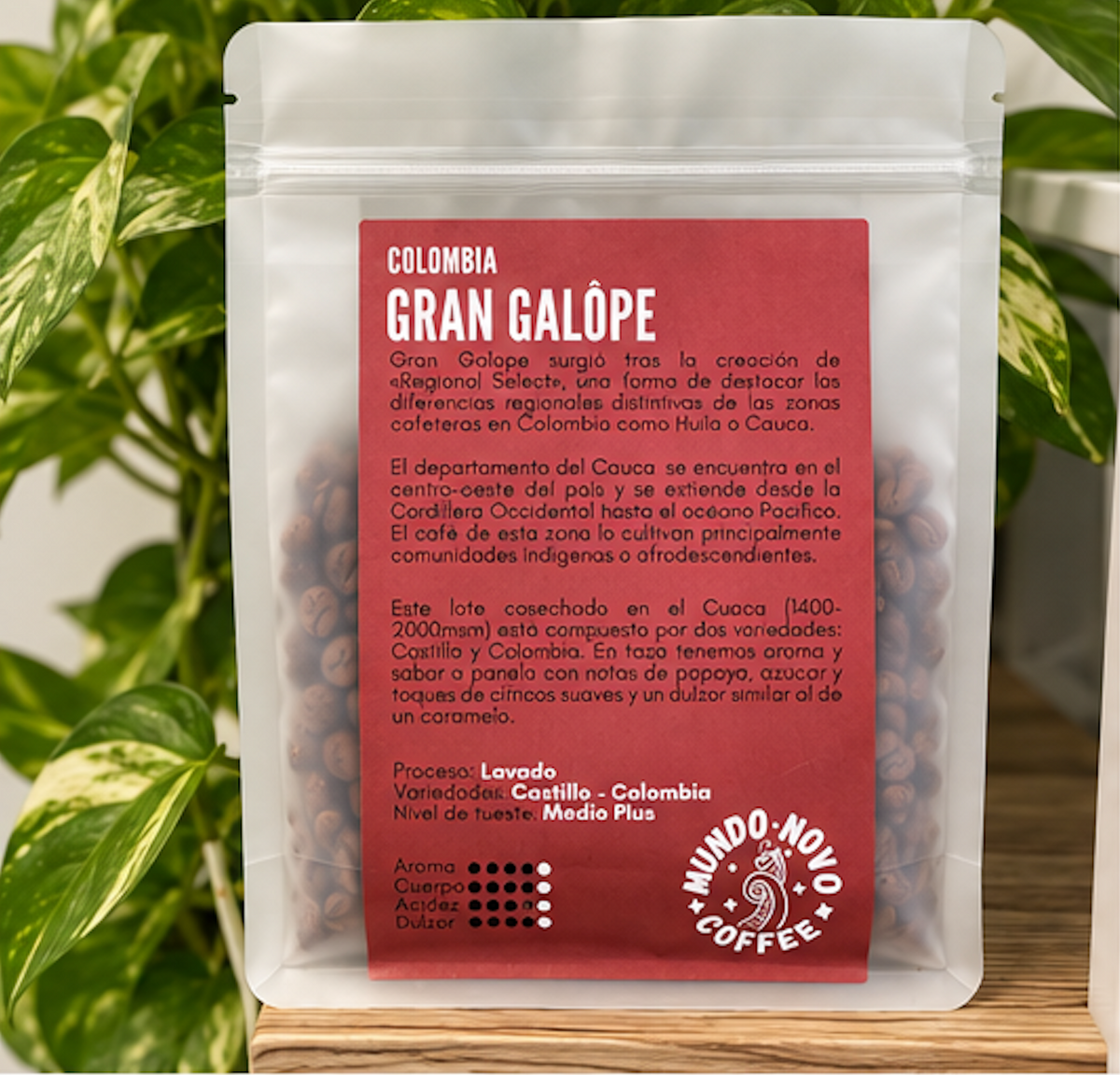 Mundo Novo - Colombia Gran Galope