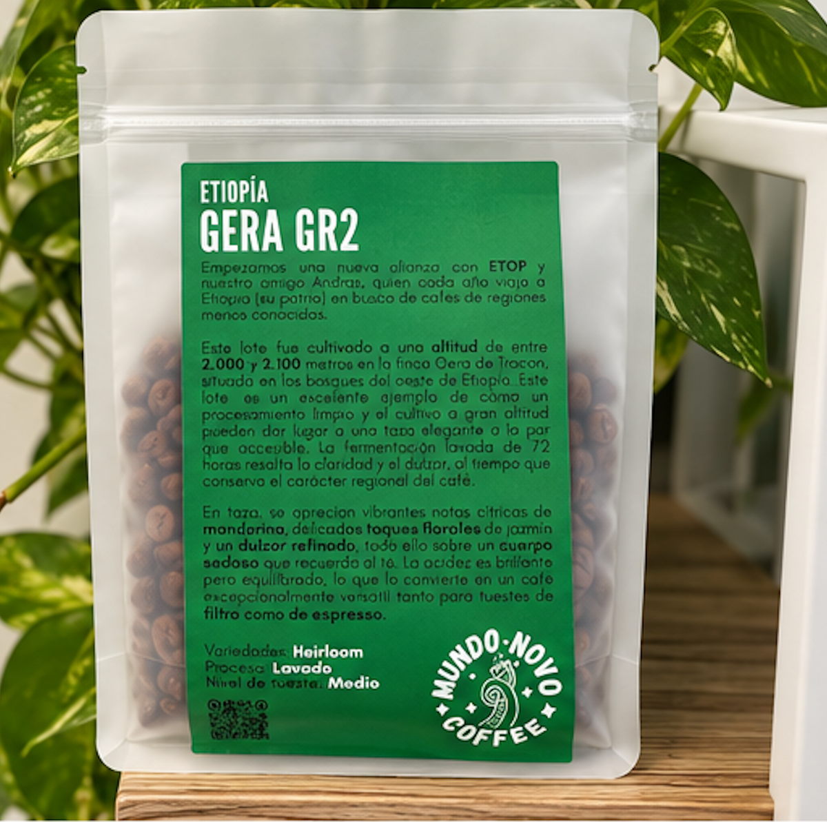 Mundo Novo - Etiopía Gera G2