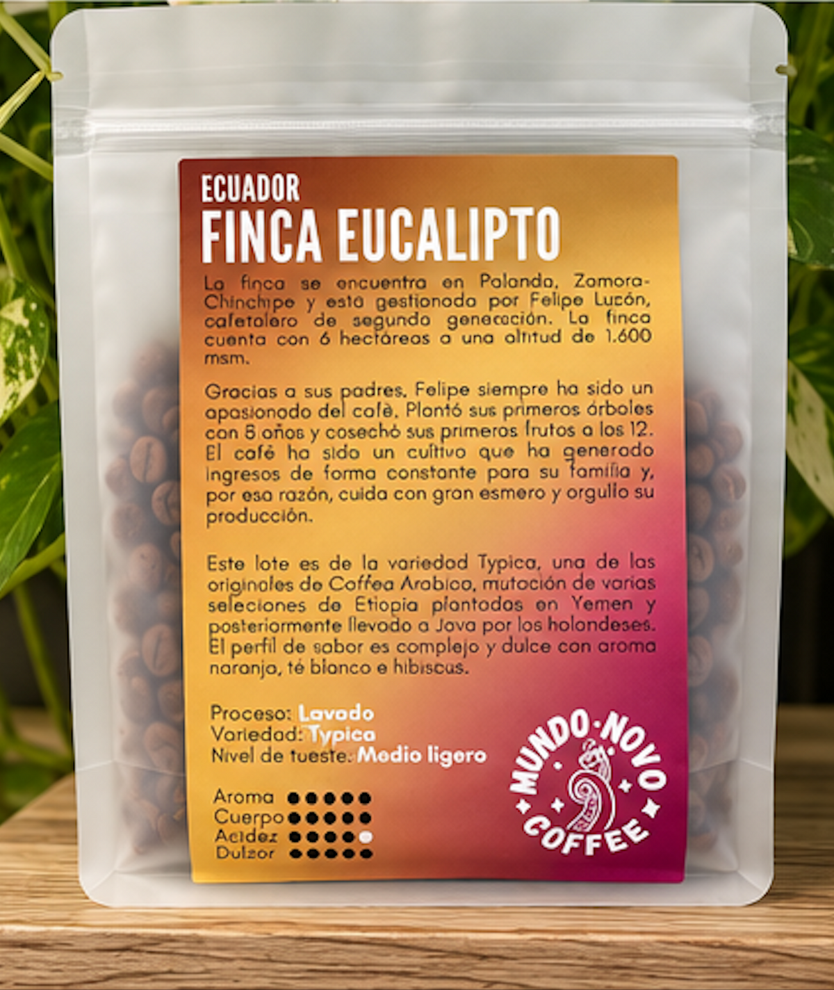 Mundo Novo - Ecuador Finca Eucaliptos