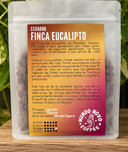 Mundo Novo - Ecuador Finca Eucaliptos
