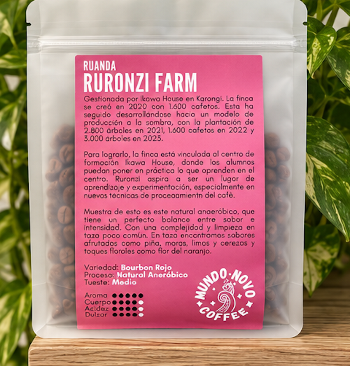 Mundo Novo - Ruanda Ruronzi Farm