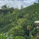 Mabó – Colombia Condor Project