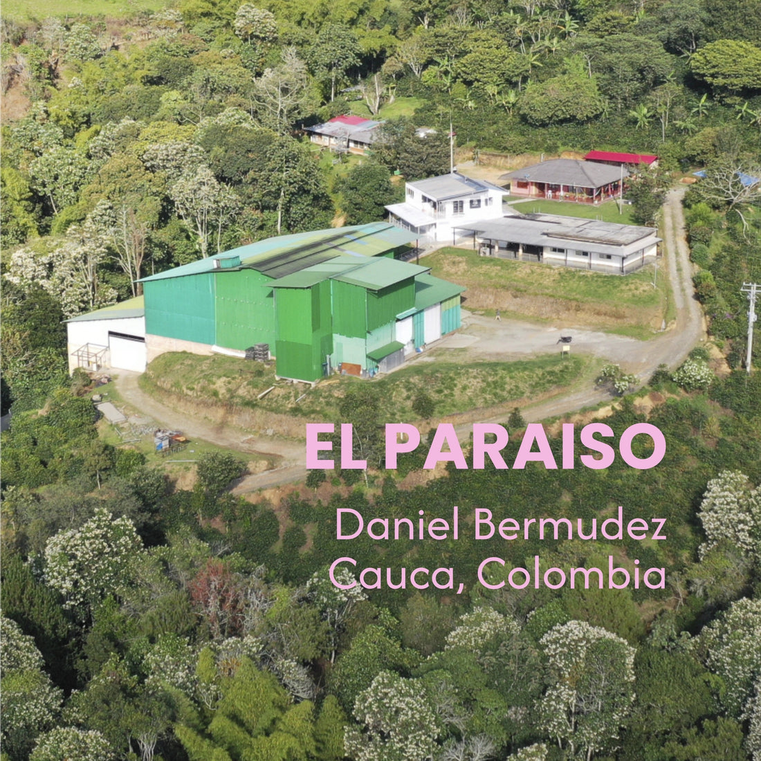 Finca El Paraíso, Daniel Bermúdez, Piendamó, Cauca