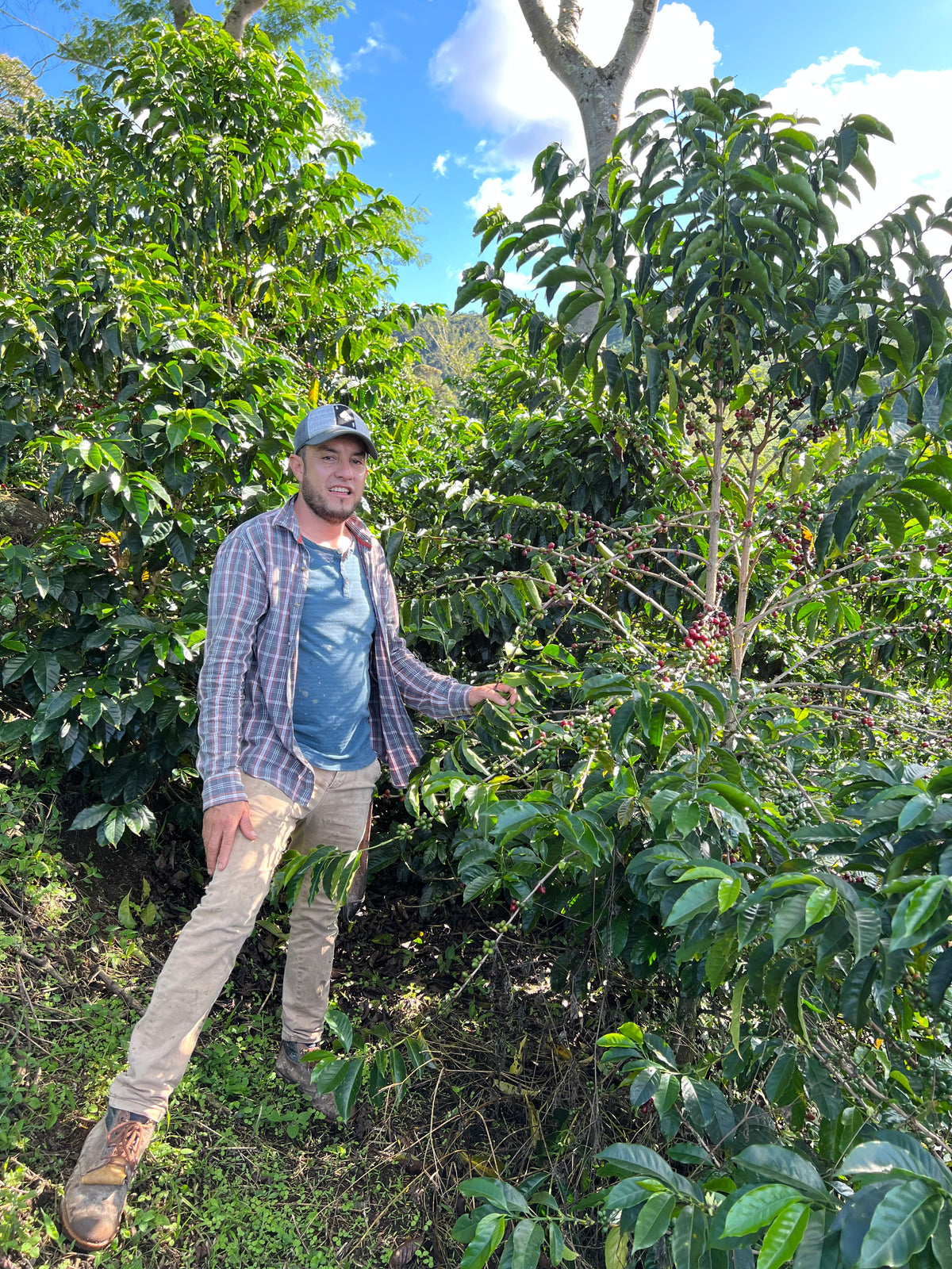 Wilmer Moncayo y Yenni Anacona en la finca La Loma, Pitalito (Huila)