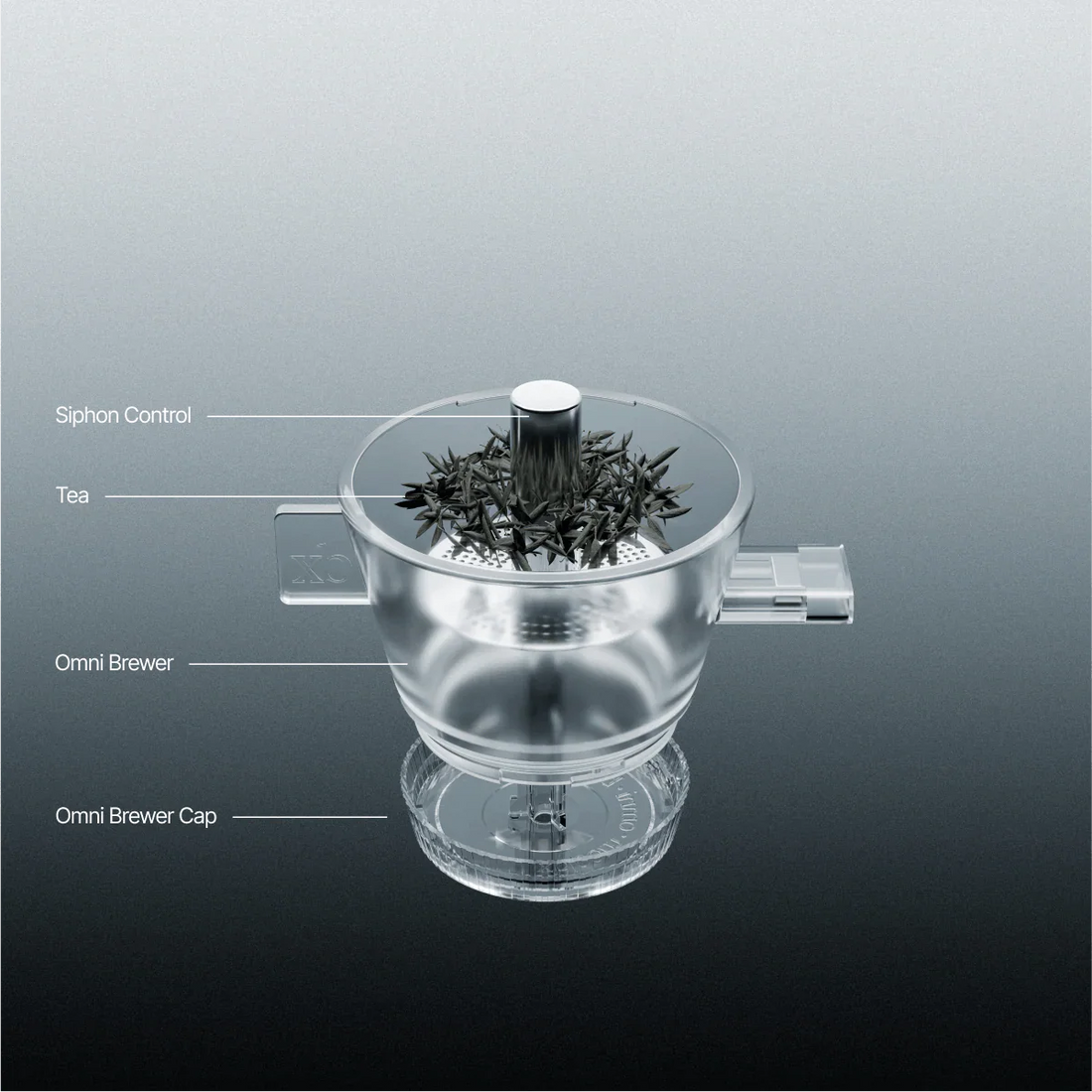 XBloom Studio + Opción Omni Tea Brewer