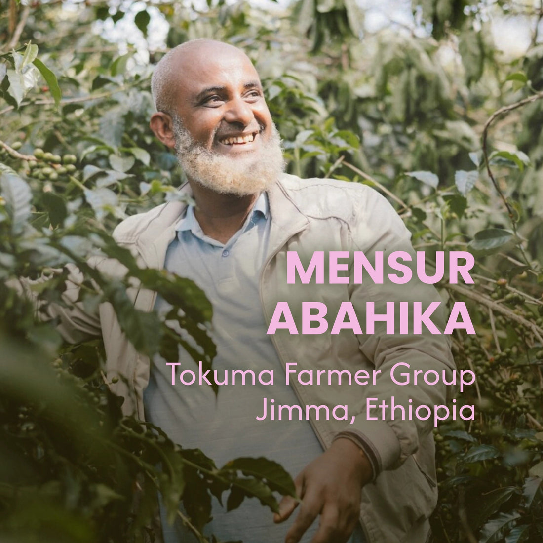 Mensur Abahika, productor en Jimma, Etiopía