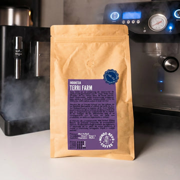 Mundo Novo - Indonesia  Terri Farm (1kg para superautomática)