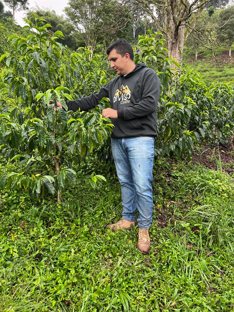 Nestor Lasso en la finca El Diviso, Pitalito (Huila)