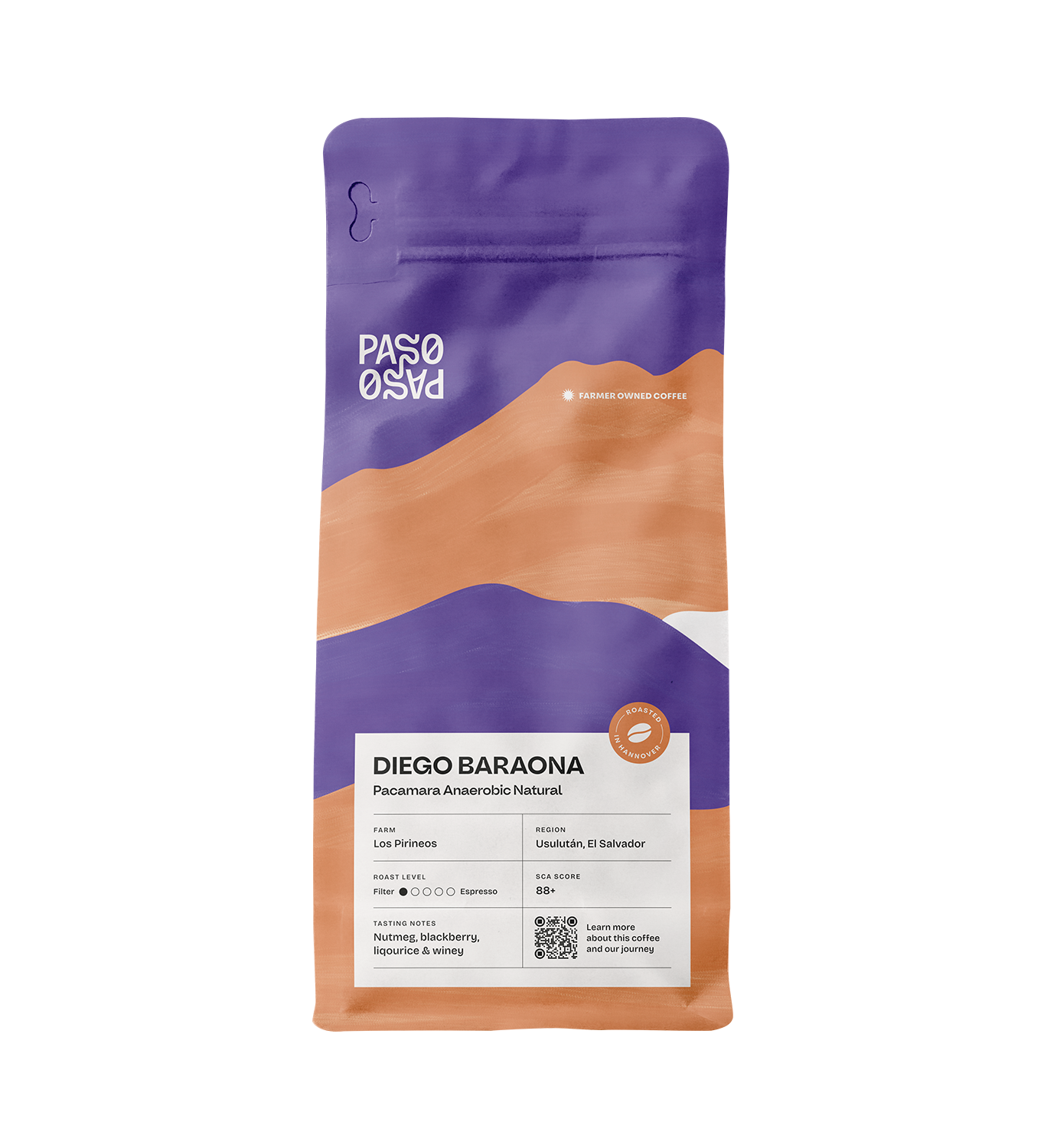 Diego Baraona - Pacamara Anaerobic Natural - Paso Paso