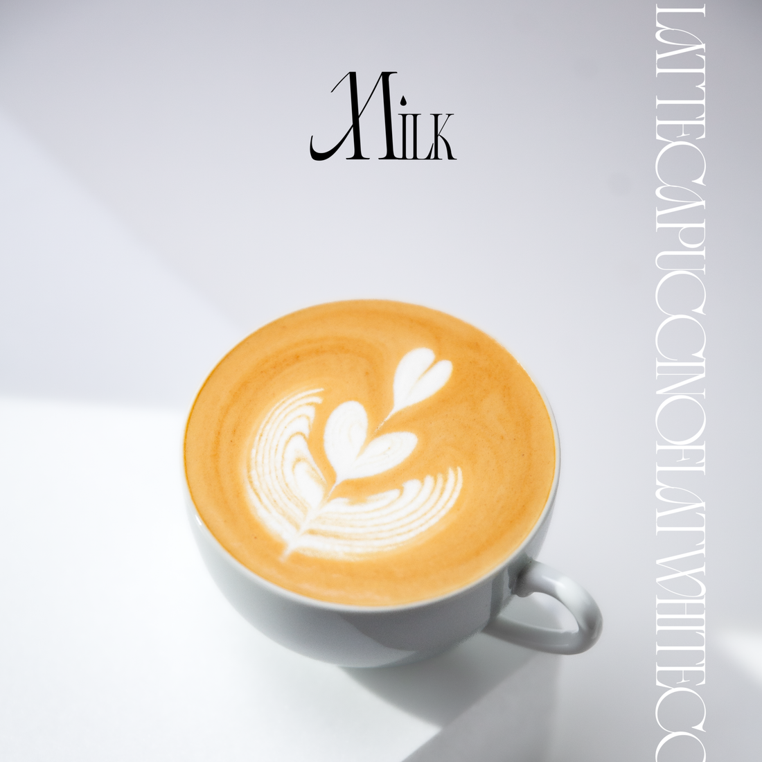 Fève - Milk Franky Hoyos