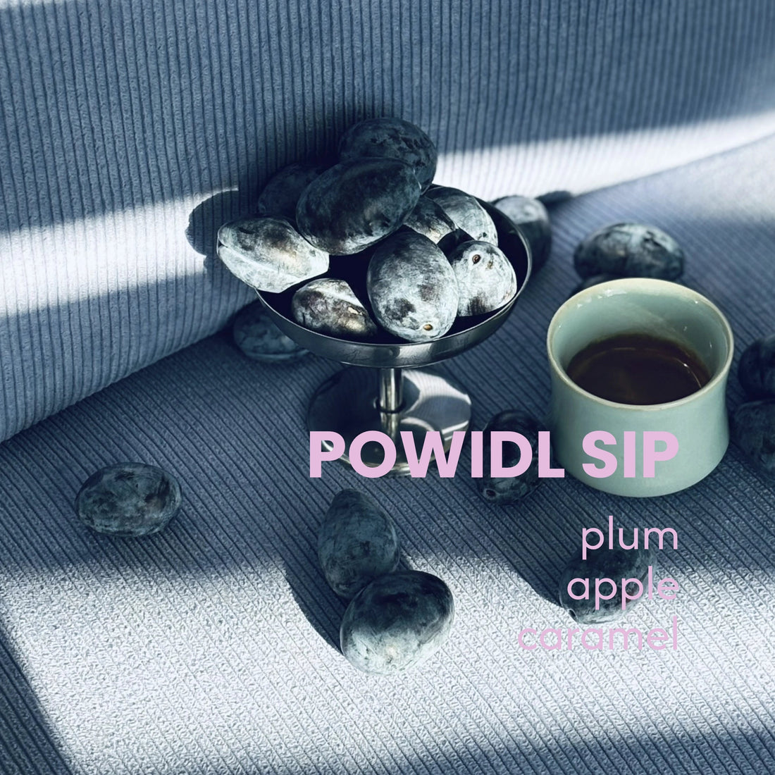 Powidl Sip, El Vergel lavado descafeinado sugar cane