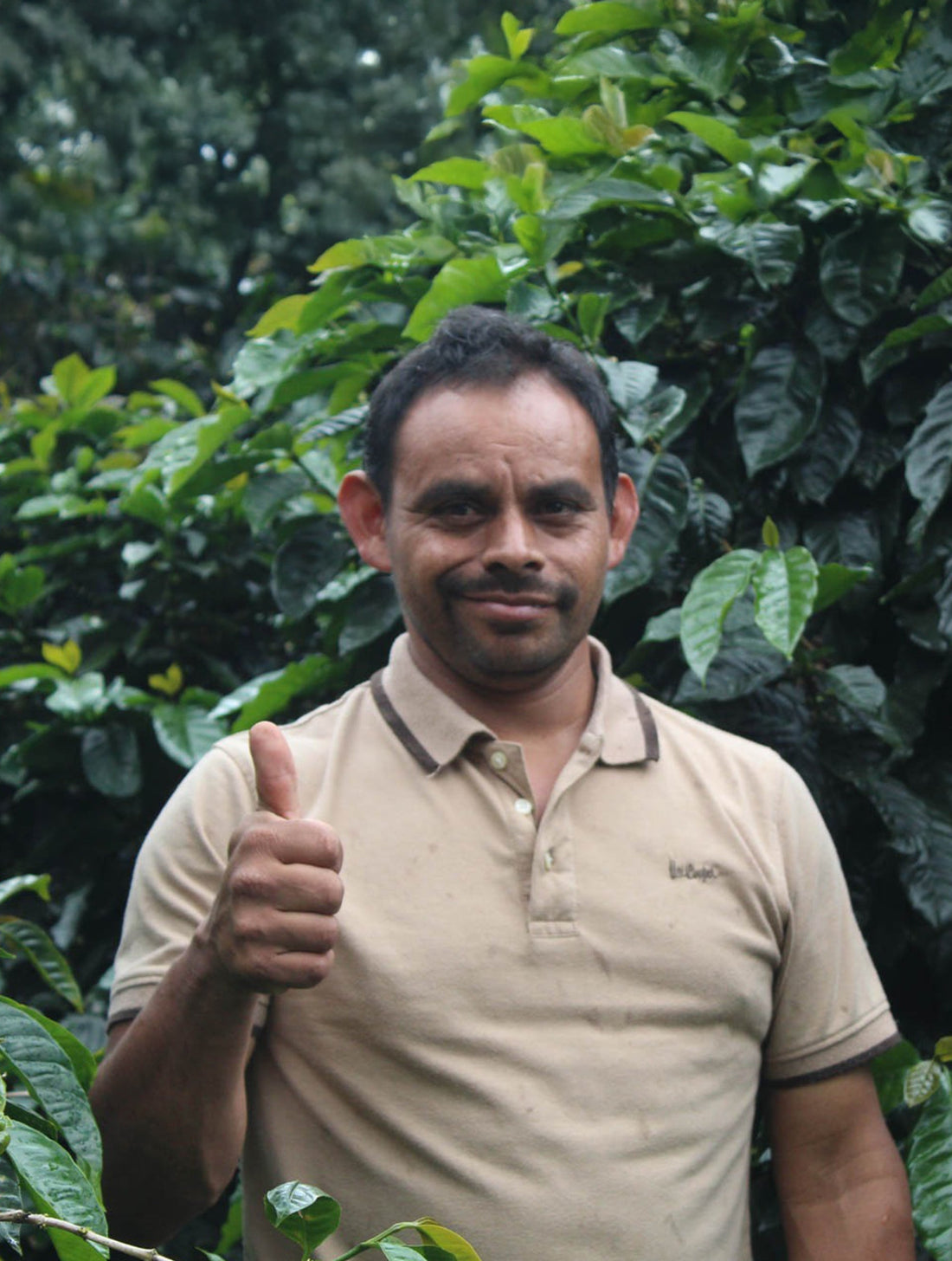 Supremo - Nicaragua Solidaridad COE