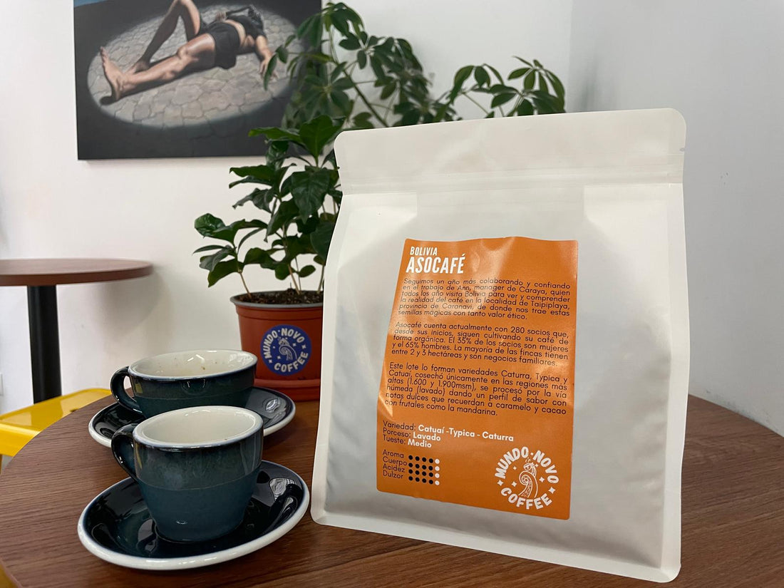 NUEVA Suscripción Cafeshi para Superautomática (1kg espresso)