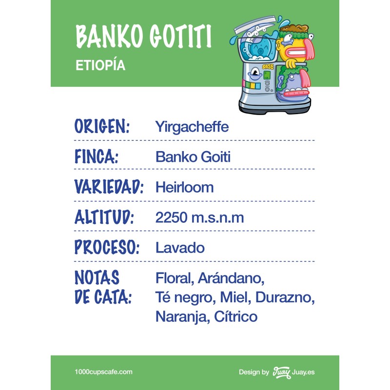 1000cups - Etiopía Banko Gotiti