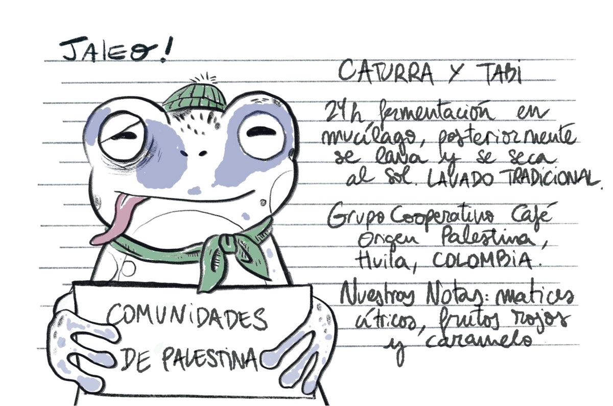 Jaleo - Colombia Comunidades Palestina