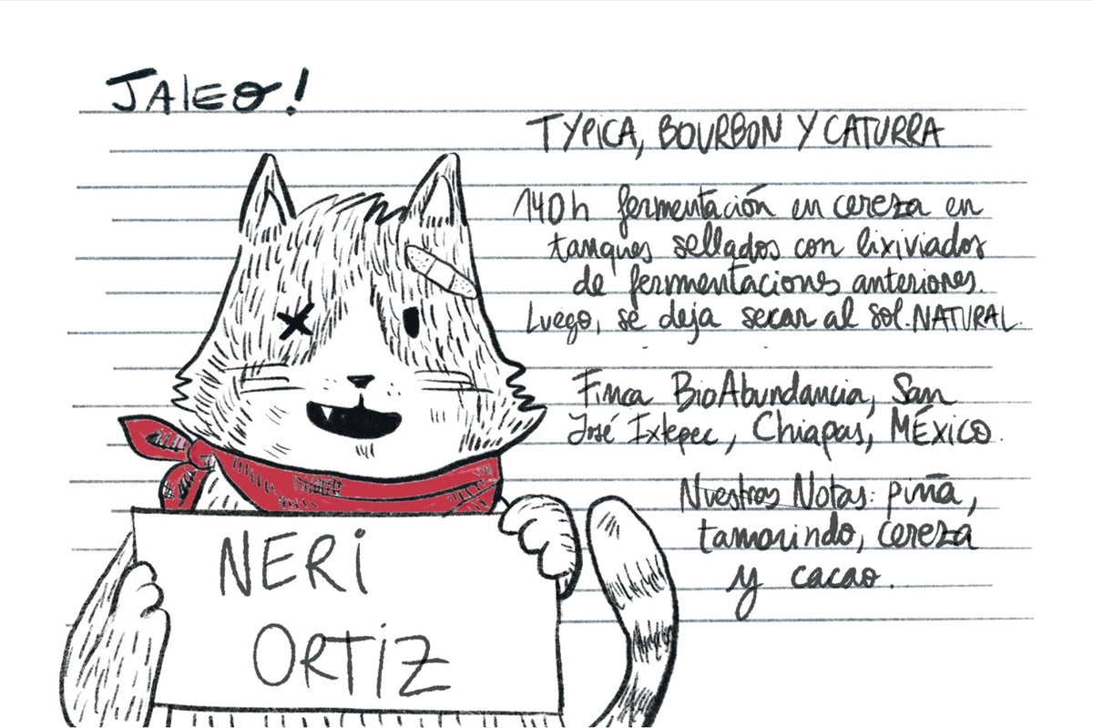 Jaleo - México Neri Ortíz