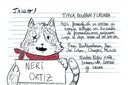 Etiqueta del café Jaleo México Neri Ortíz, variedades Typica, Bourbon y Caturra
