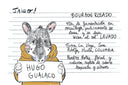 Etiqueta del café Jaleo Colombia Bourbon Rosado de Hugo Gualaco