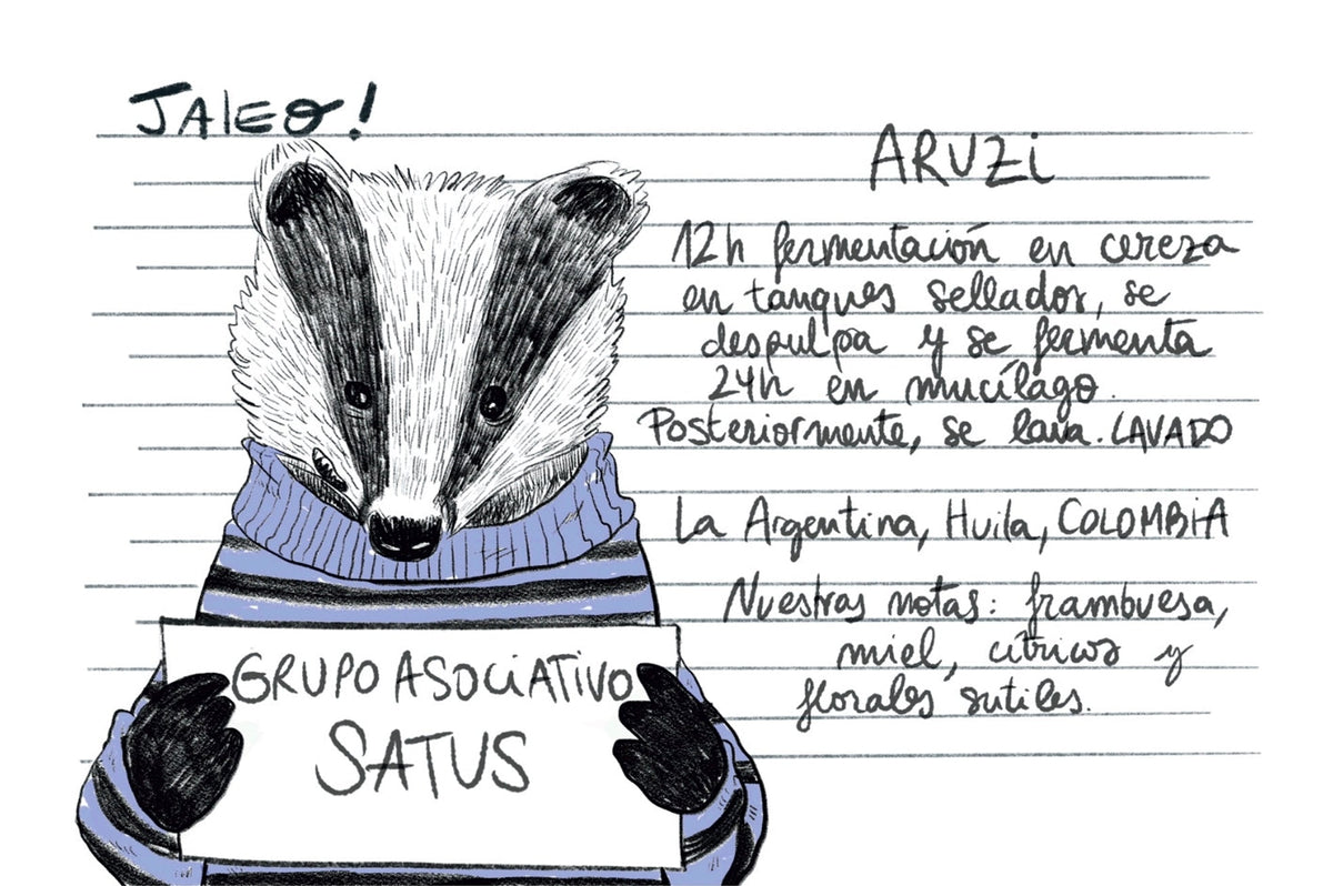 Jaleo - Colombia Aruzi Satus