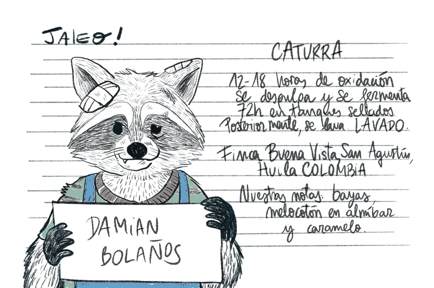 Etiqueta del café Jaleo Colombia Caturra de Damián Bolaños