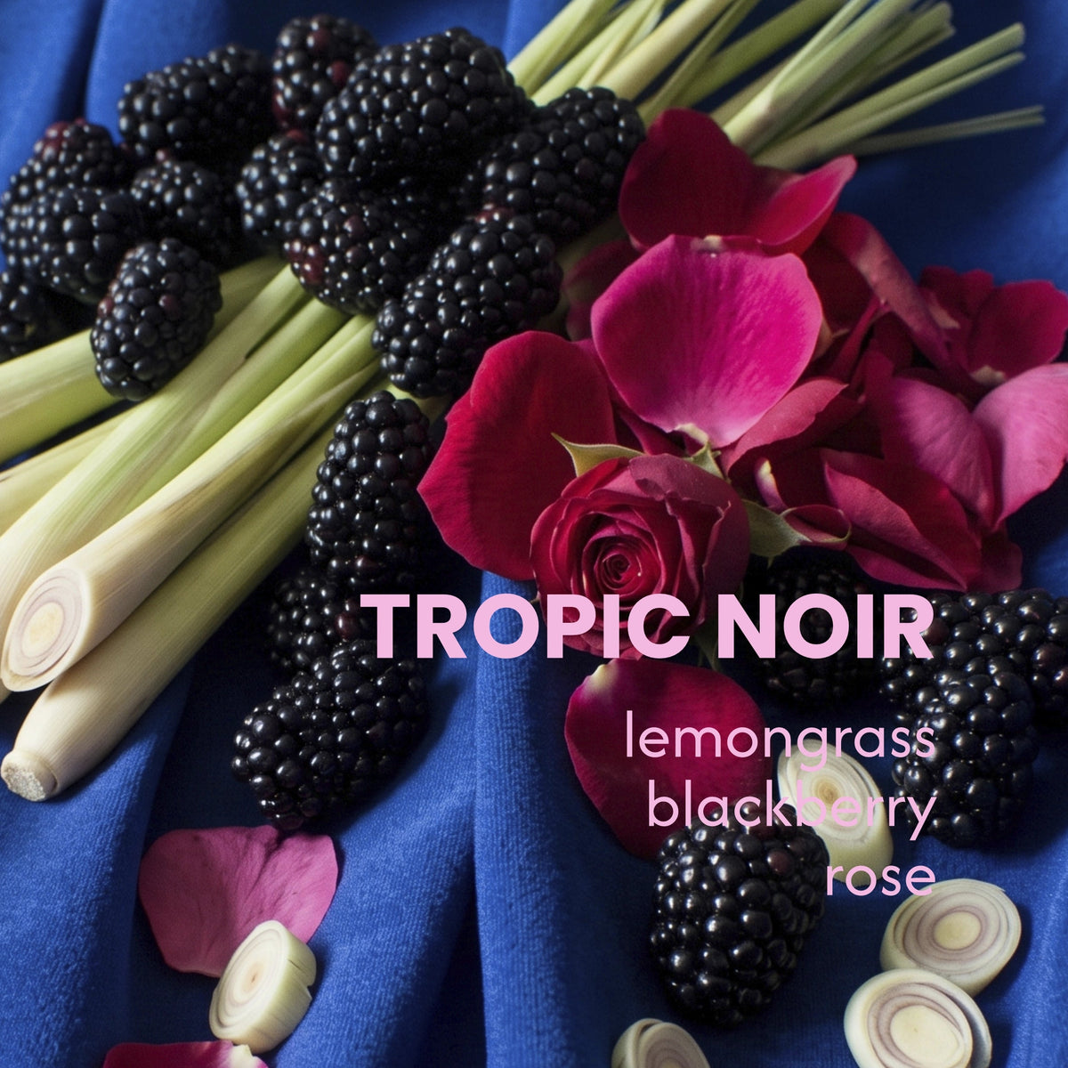 Tropic Noir: lemongrass, mora y rosa