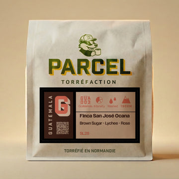 Parcel - Guatemala Finca San José Ocaña